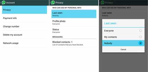 Cara Mematikan Fitur Last Seen Di WhatsApp Mod Apk